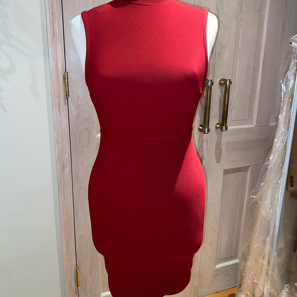 Express Bandage dress